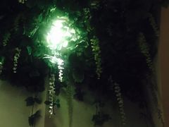-汤臣海派理疗公馆