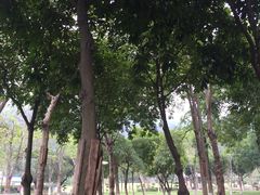 -火炉山森林公园
