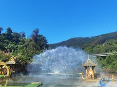 -西双版纳原始森林公园