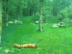 -北京野生动物园