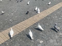 -百花深处·老北京风味菜