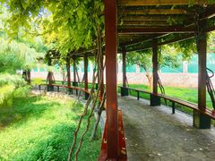 -西北大学(桃园校区)