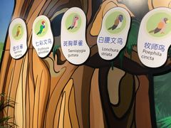 -萌宠奇缘