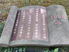 -澹台湖公园