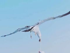 -海驴岛(荣成市)