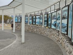 -府河摄影公园