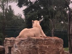 -秦皇岛野生动物园