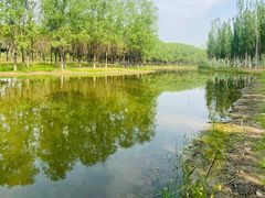 -东郊湿地公园