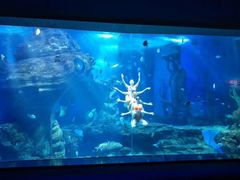 -多彩贵州城极地海洋世界