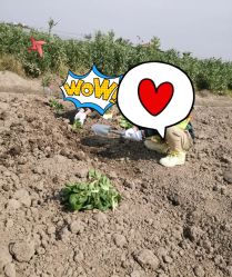 -麦粒鸟亲子游