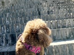 -雁门关景区