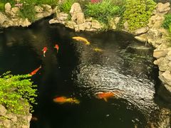 -鲤院·新中式美学·庭院餐厅(夫子庙店)