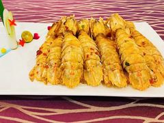 -欢乐海岸美食联盟