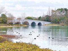 -尚湖风景区