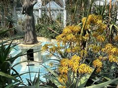 -深圳仙湖植物园