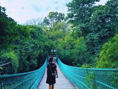 -南宁良凤江国家森林公园