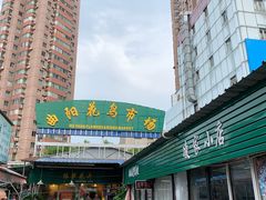 -曲阳花鸟市场(曲阳路店)