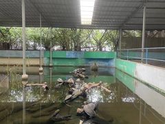 -广州长隆飞鸟乐园