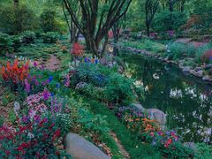 -上海共青森林公园