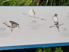 -白鹭湾湿地公园