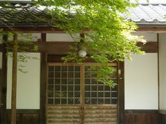 -西芳寺(苔寺)