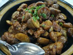 风栗焖猪尾-蒲园食堂(中山大学广州校区南校园店)