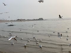 -老虎石海上公园