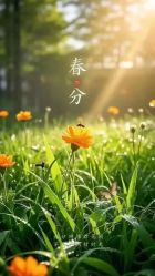 -雅曼妮spa美容养生