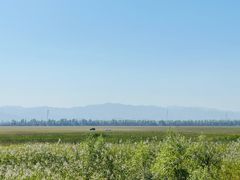 -野鸭湖国家湿地公园