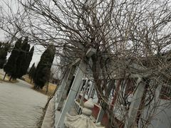 -纪晓岚文化园