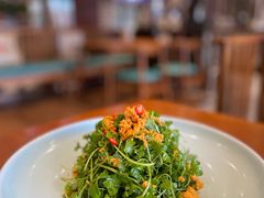 三叶香拌海胆-海铺·渔家虾水饺(皇姑店)
