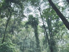-广州市白云山风景名胜区