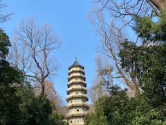 -灵谷景区