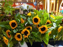 -茶马花街(城西银泰城店)