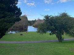 -墨尔本皇家植物园