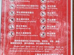 -东平国家森林公园