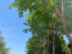 -南宫五洲植物乐园