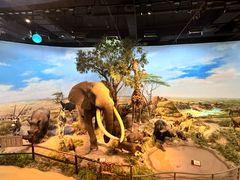 -陕西自然博物馆