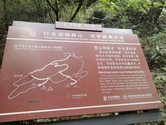 -九曜山