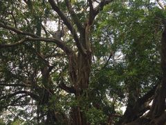 -胡里山炮台