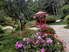 -庐山风景区花径公园