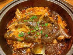 -海派美食·家宴海鲜青岛菜·石锅鲽鱼头(东方城店)