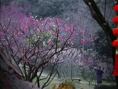 -无锡梅园公园