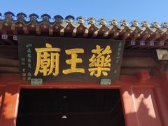 -药王庙(安国市)