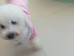 -怪兽屋·羊驼·猫咖·狗咖(俊华广场店)