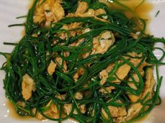 -敦煌达记酱驴肉黄面馆