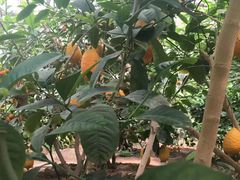 -兰陵国家农业公园