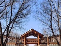 -野鸭湖国家湿地公园