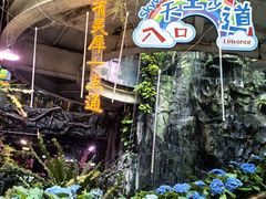 -正佳雨林生态植物园