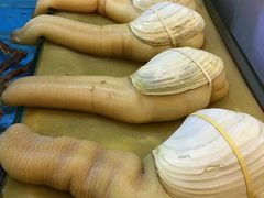 -渔人码头(洛溪店)